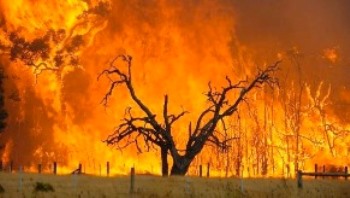 Increased super storms and bushfires